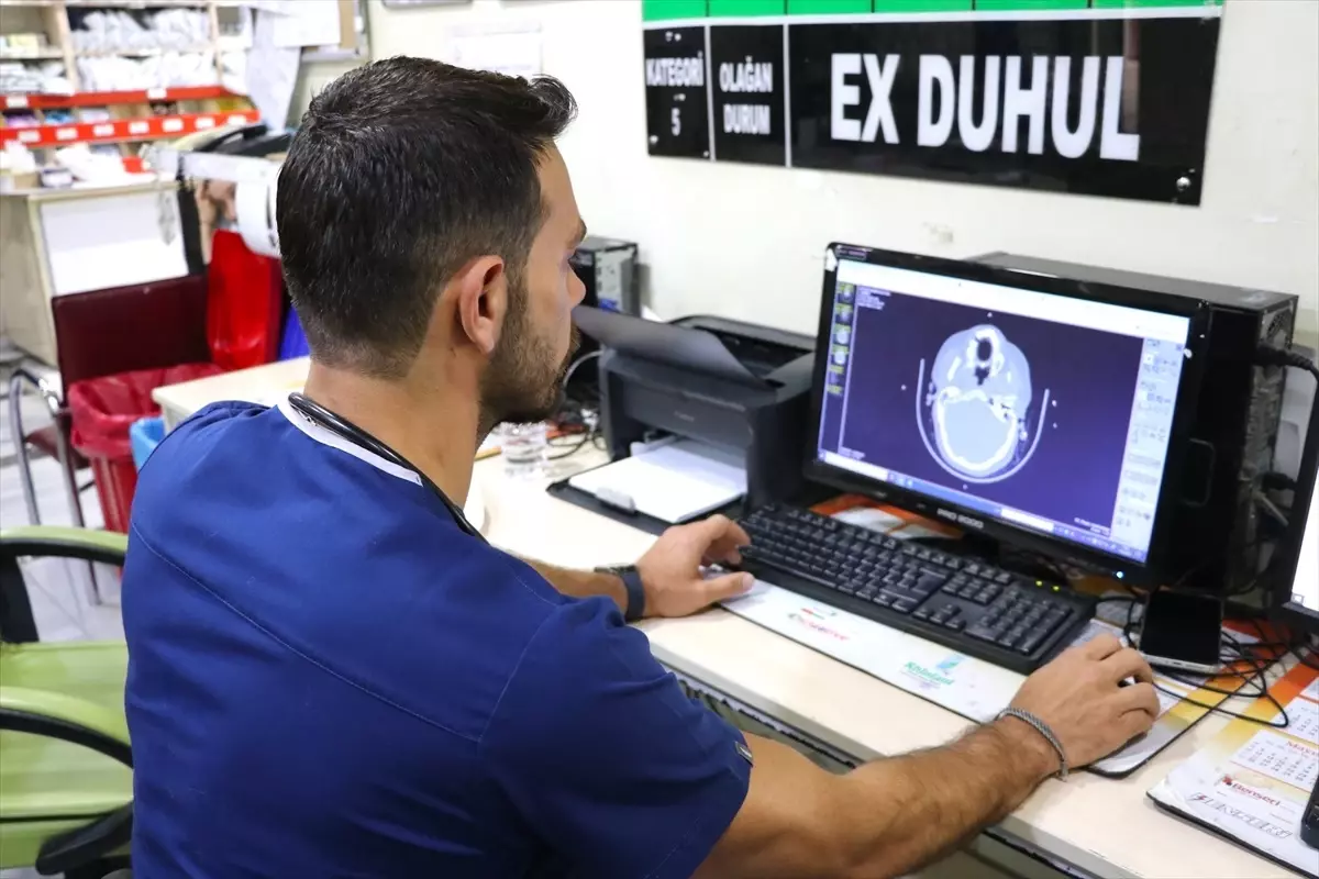 Gaziantep\'te hobi olarak biniciliğe başlayan doktor lisanslı sporcu oldu