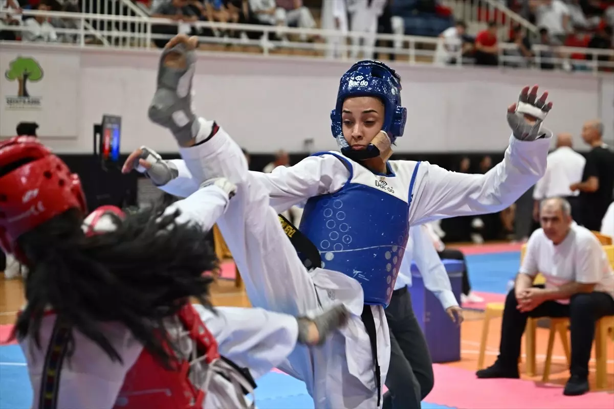 Gaziantep\'te Tekvando Şampiyonası Başladı