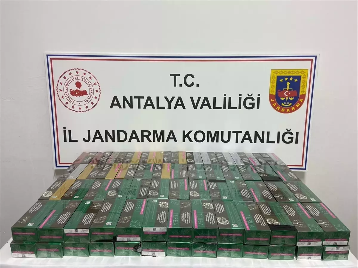 Gazipaşa\'da 2 Bin Paket Kaçak Sigara Ele Geçirildi