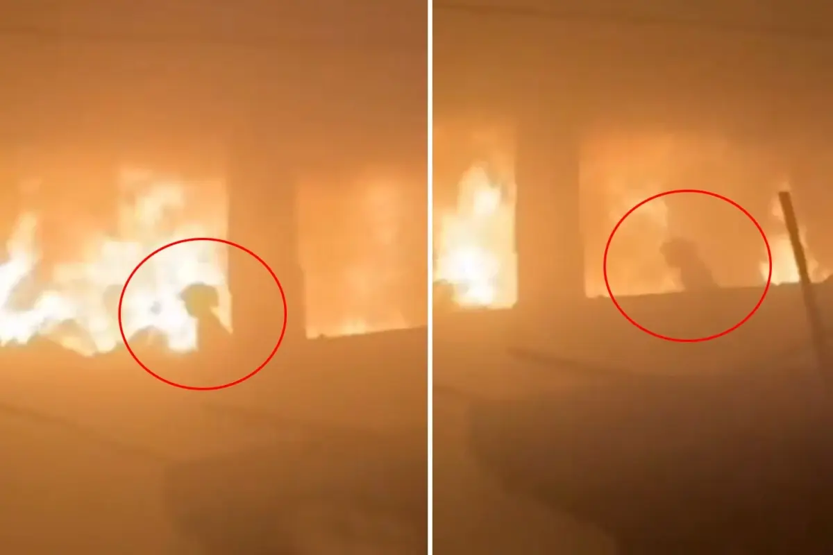 Gazze\'de sözün bittiği yer! Alevlerin arasında kalan kız çocuğu böyle görüntülendi