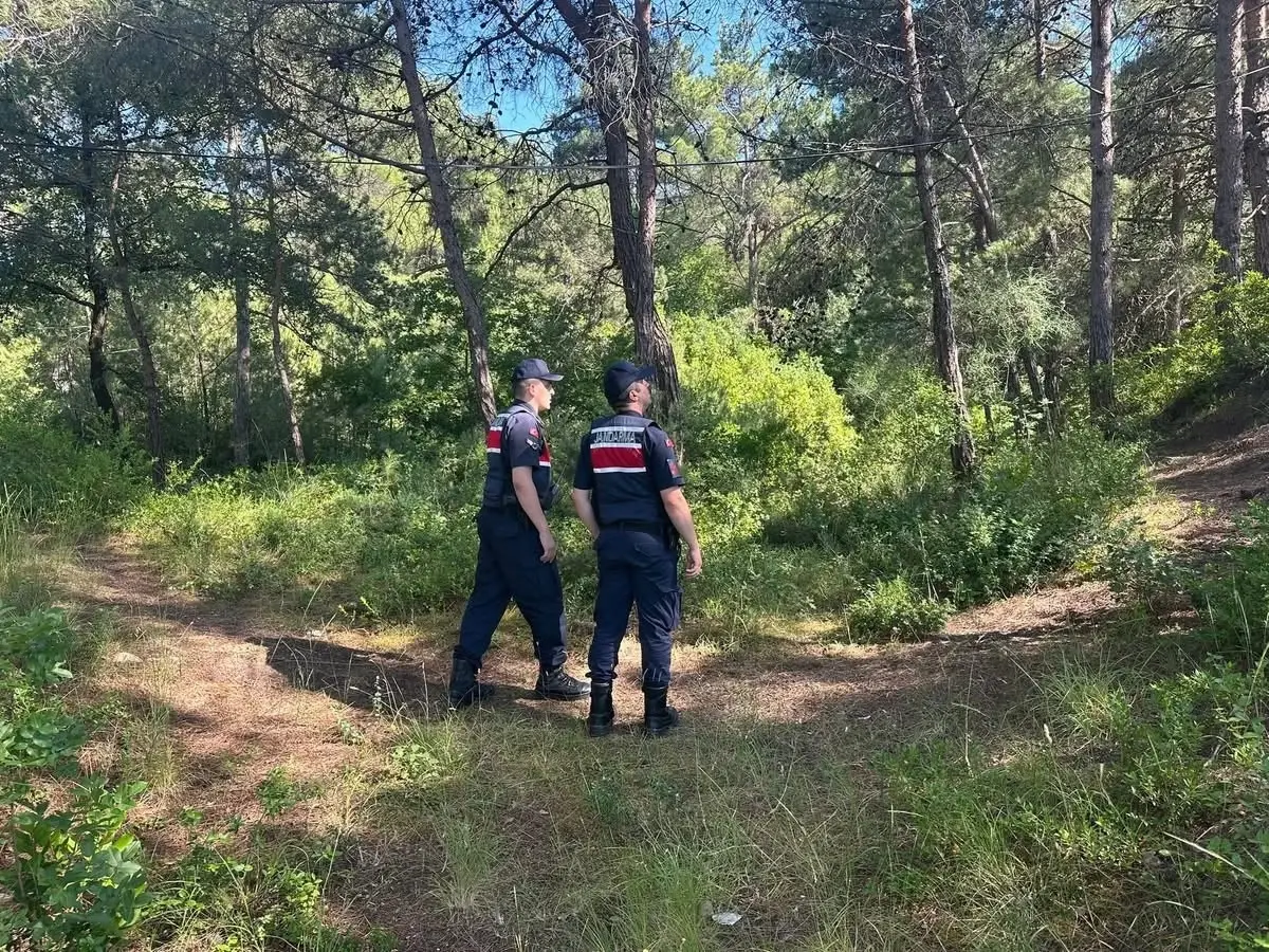 Jandarma Orman Yangınlarına Karşı Devriye Geziyor