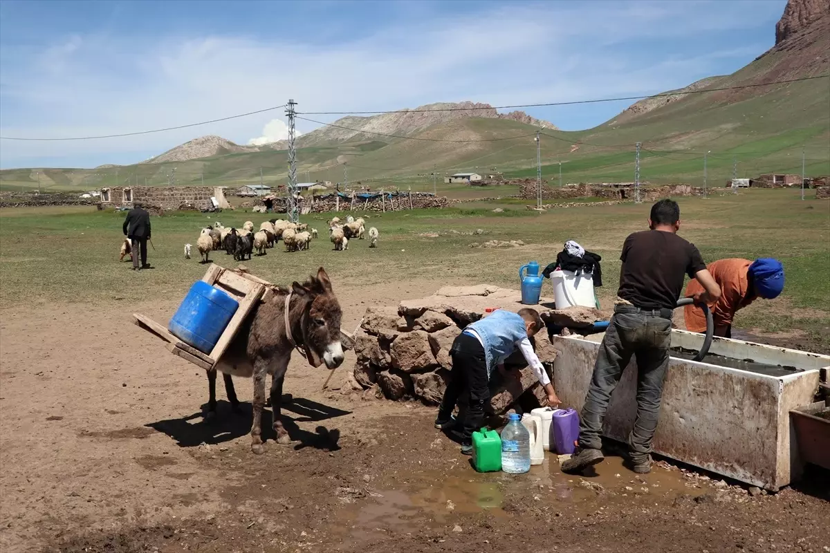 Diyadin\'de Göçer Ailelerin Yayla Hayatı