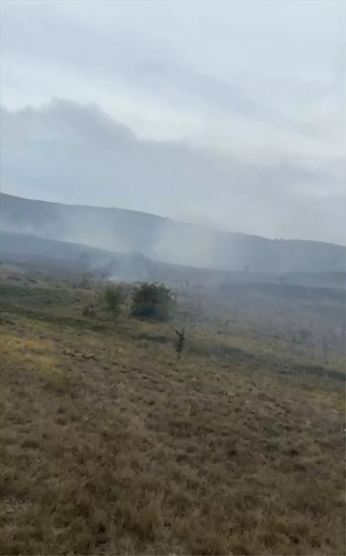 Göynük\'te Yangın Kontrol Altına Alındı