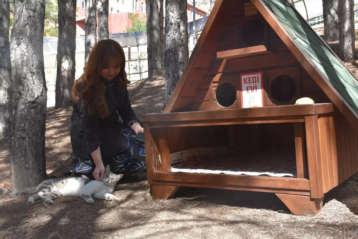 Gümüşhane Üniversitesi\'nde Kedi Evleri