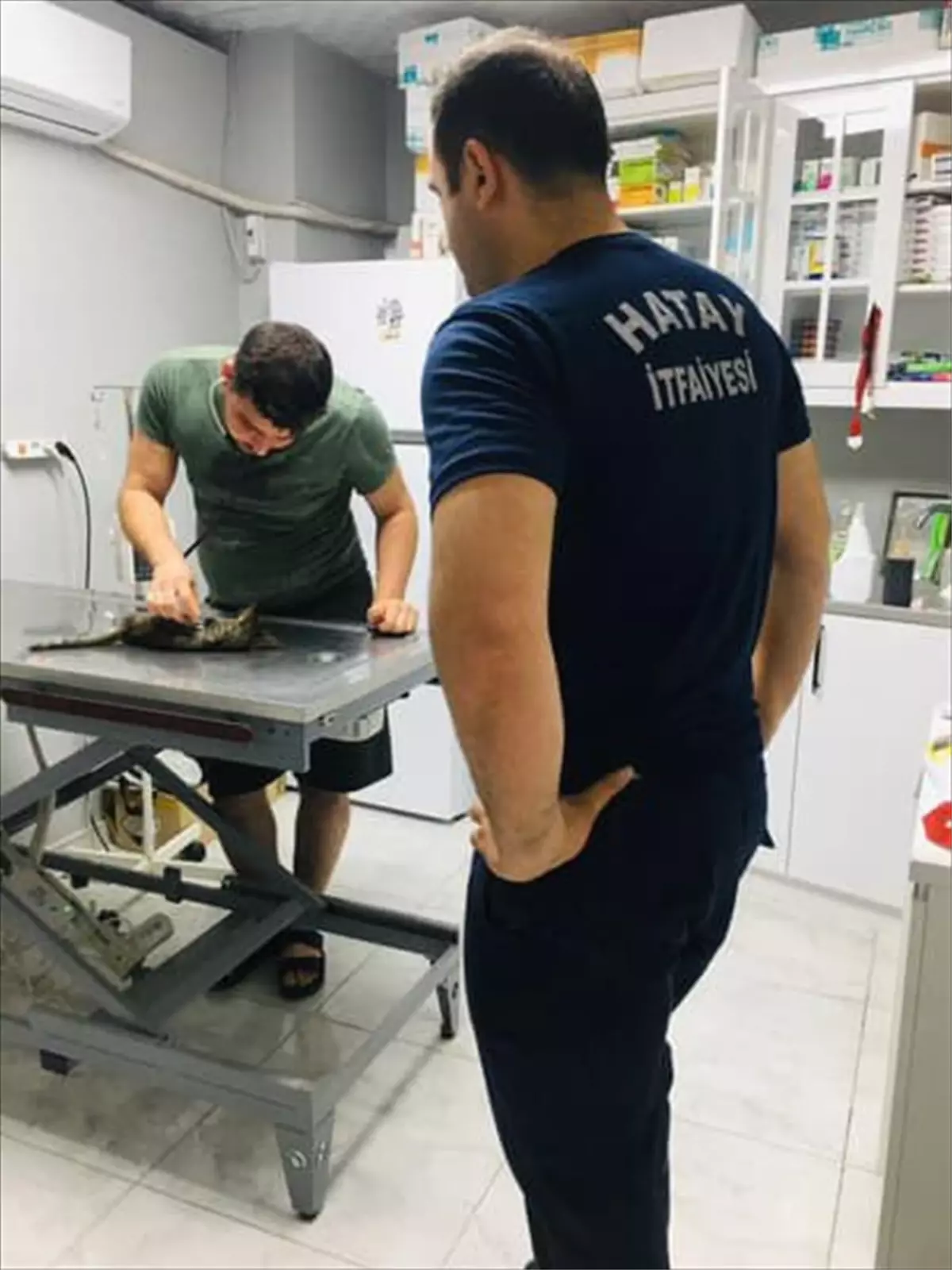 Kedi Yavrusuna İtfaiyeden Hayat Kurtarma Operasyonu