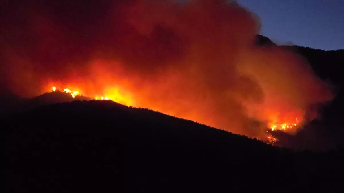 Hatay\'da Orman Yangınına Müdahale Devam Ediyor