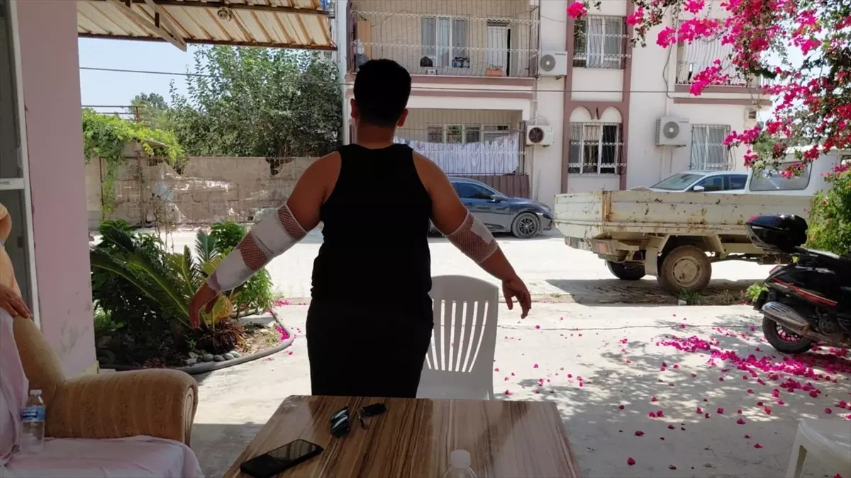 Samandağ\'da Köpek Saldırısı: 10 Yaşındaki Çocuk Yaralandı