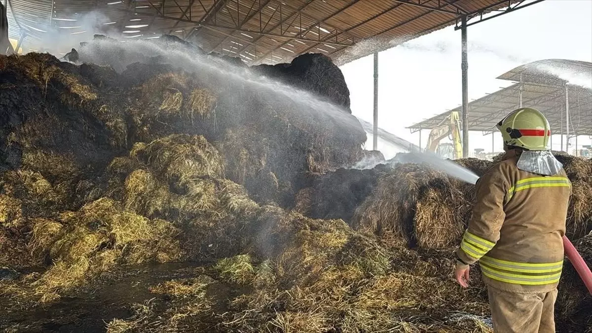 Antakya\'da Samanlık Yangını