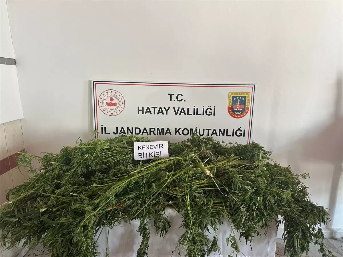 Uyuşturucu Operasyonu: 5 Zanlı Yakalandı