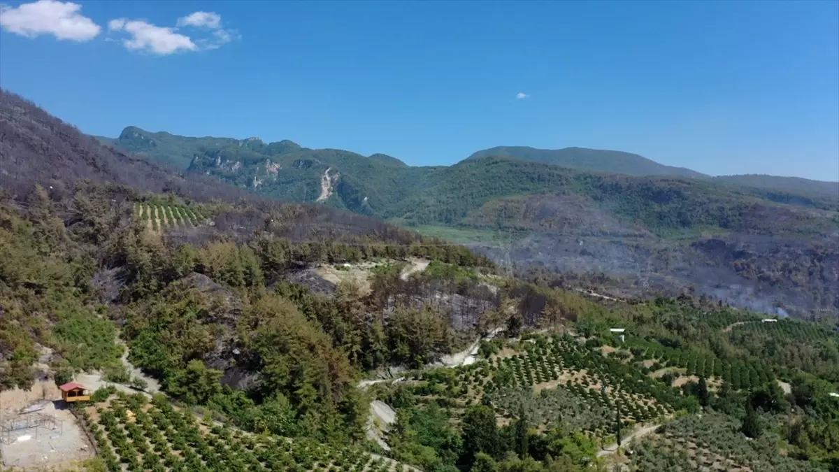 Dörtyol\'daki orman yangını kontrol altına alındı