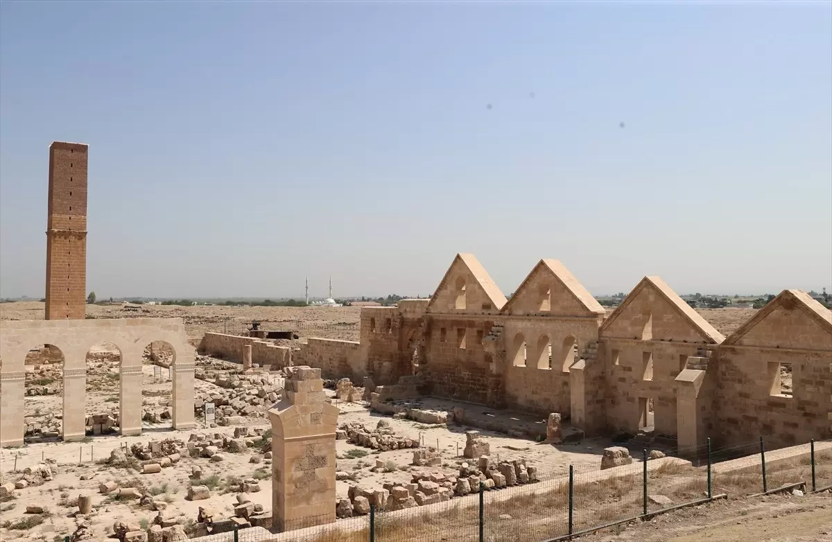 Harran\'da Tarih Kazı Çalışmaları Sürüyor