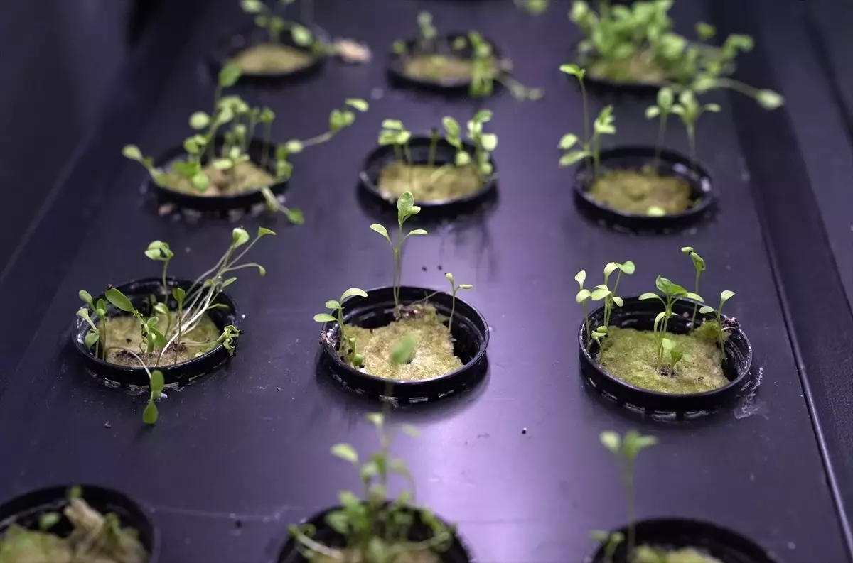 Yerli Girişimci\'den İnovatif Tarım Cihazı