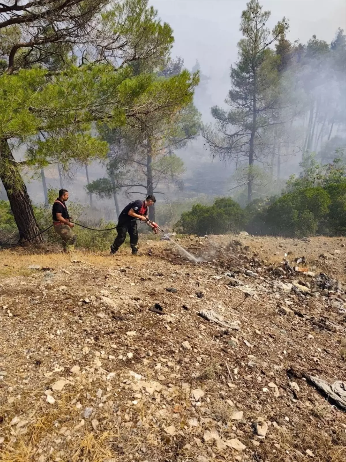 İHH, Suriye\'deki Orman Yangınlarına Müdahale Etti