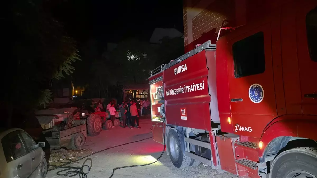 İnegöl\'de Ev Önünde Ağaç Yangını