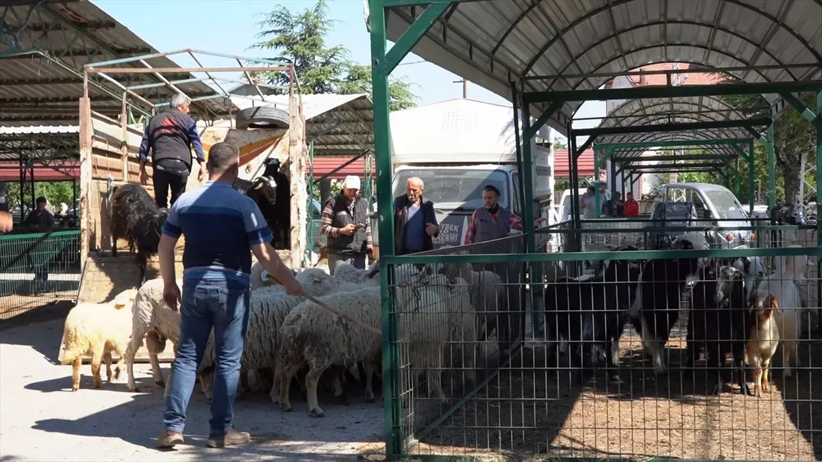 Isparta\'da Kurban Bayramı Hazırlıkları