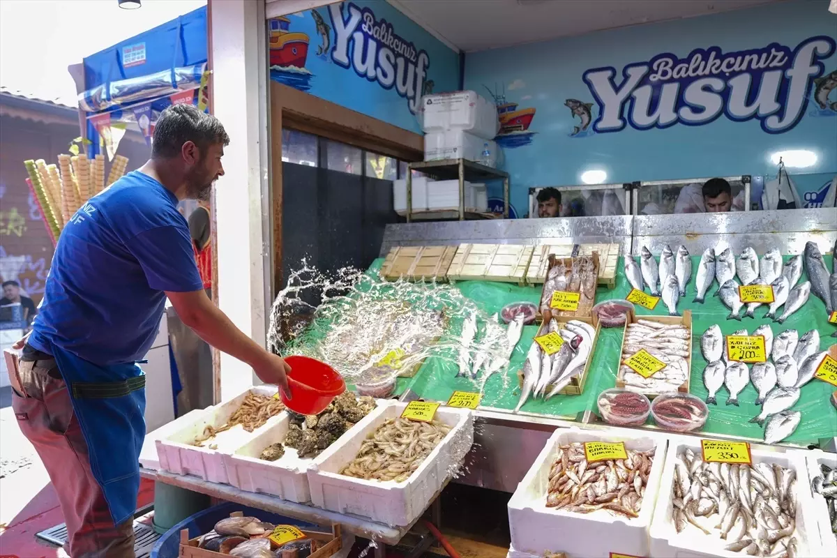 Balık Avı Sezonu Başladı