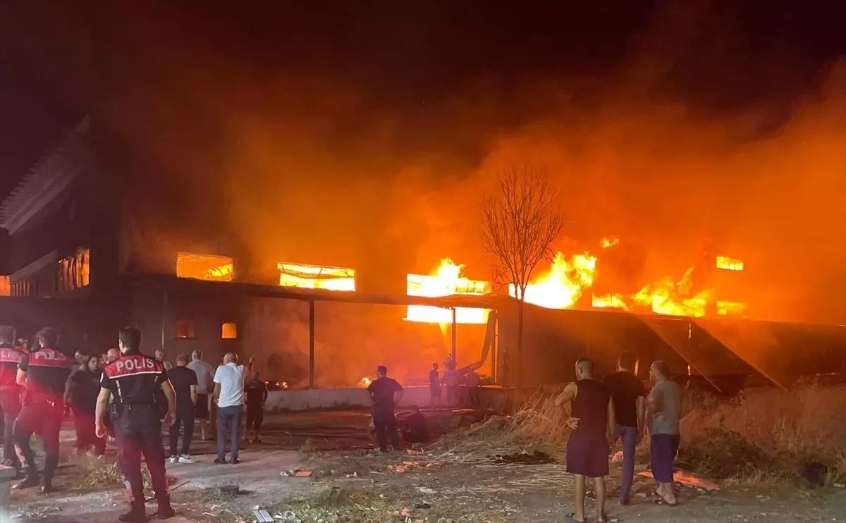 Gaziemir\'de Mobilya Fabrikasında Yangın