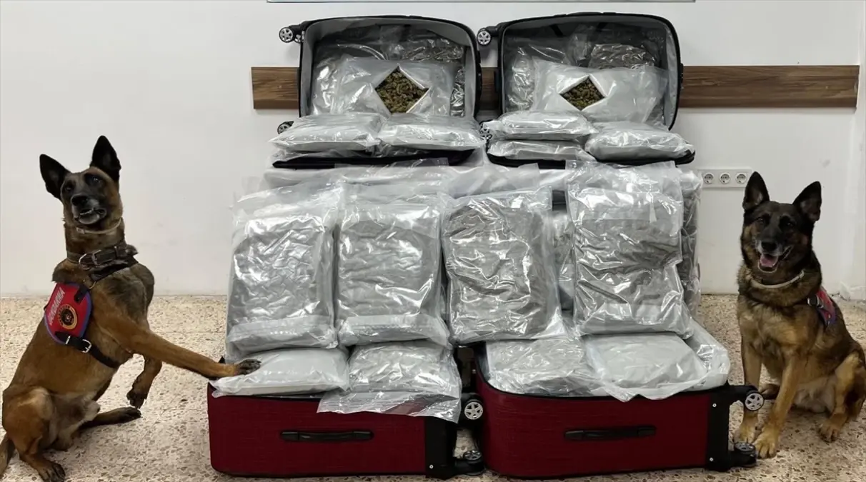 İzmir\'de 13 Şüpheli Uyuşturucudan Gözaltına Alındı