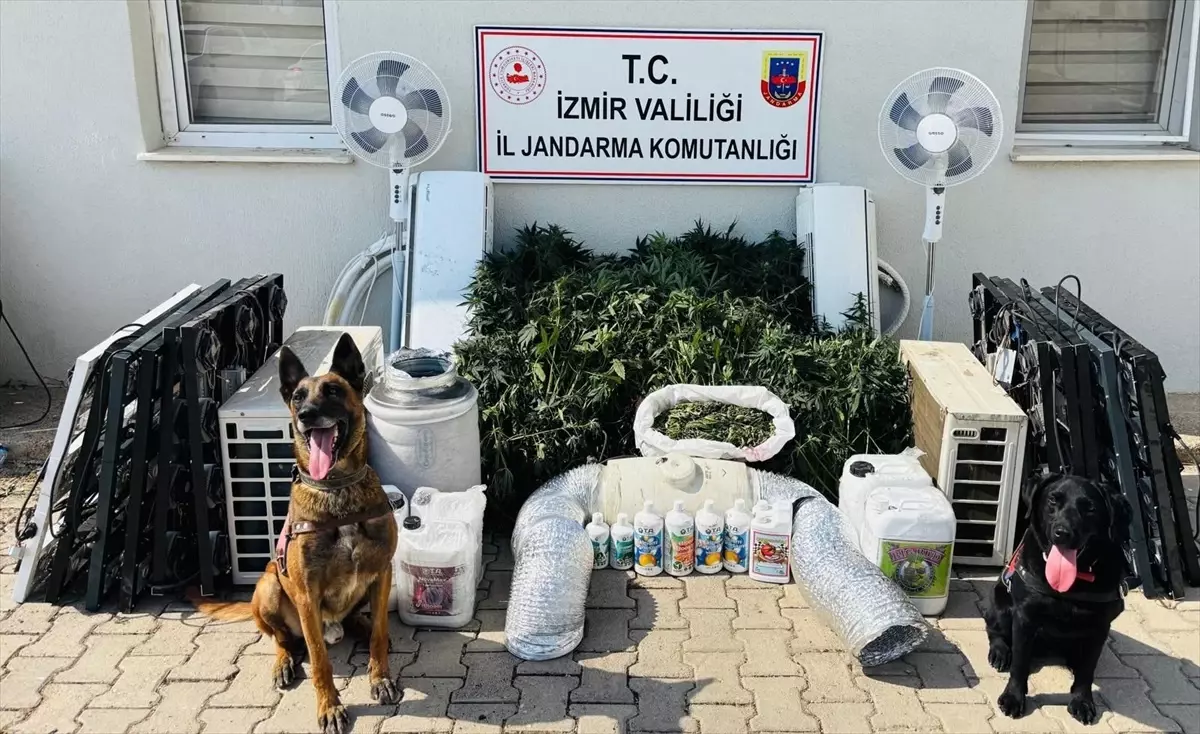 İzmir\'de Uyuşturucu Operasyonu