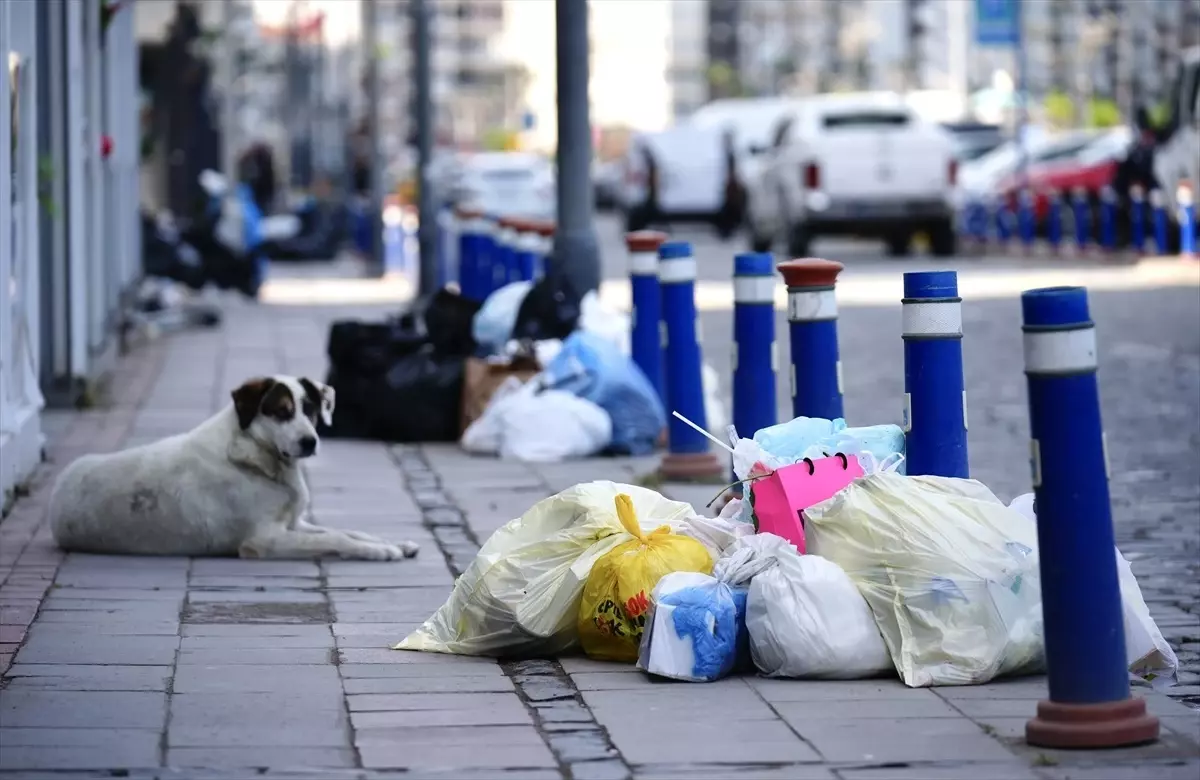 4 gündür devam eden grev İzmir\'i dev bir çöp yığınına çevirdi