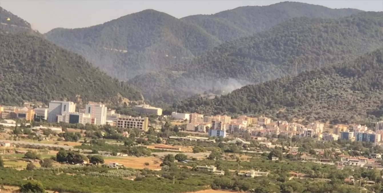 İzmir\'de Orman Yangınları Kontrol Altına Alındı