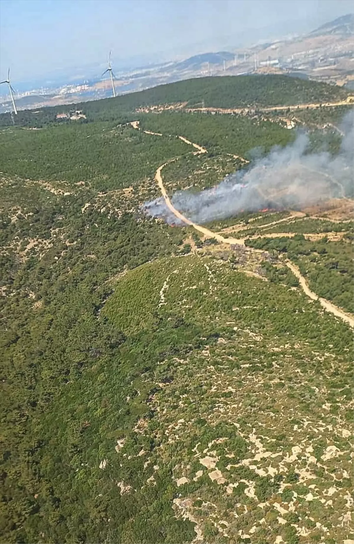 Foça\'da Orman Yangınına Müdahale