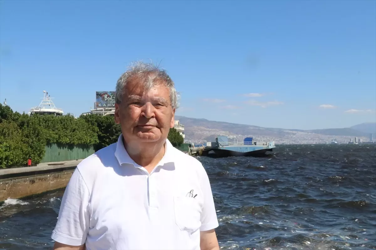 İzmir Körfezi\'nde Ölü Balık Alarmı