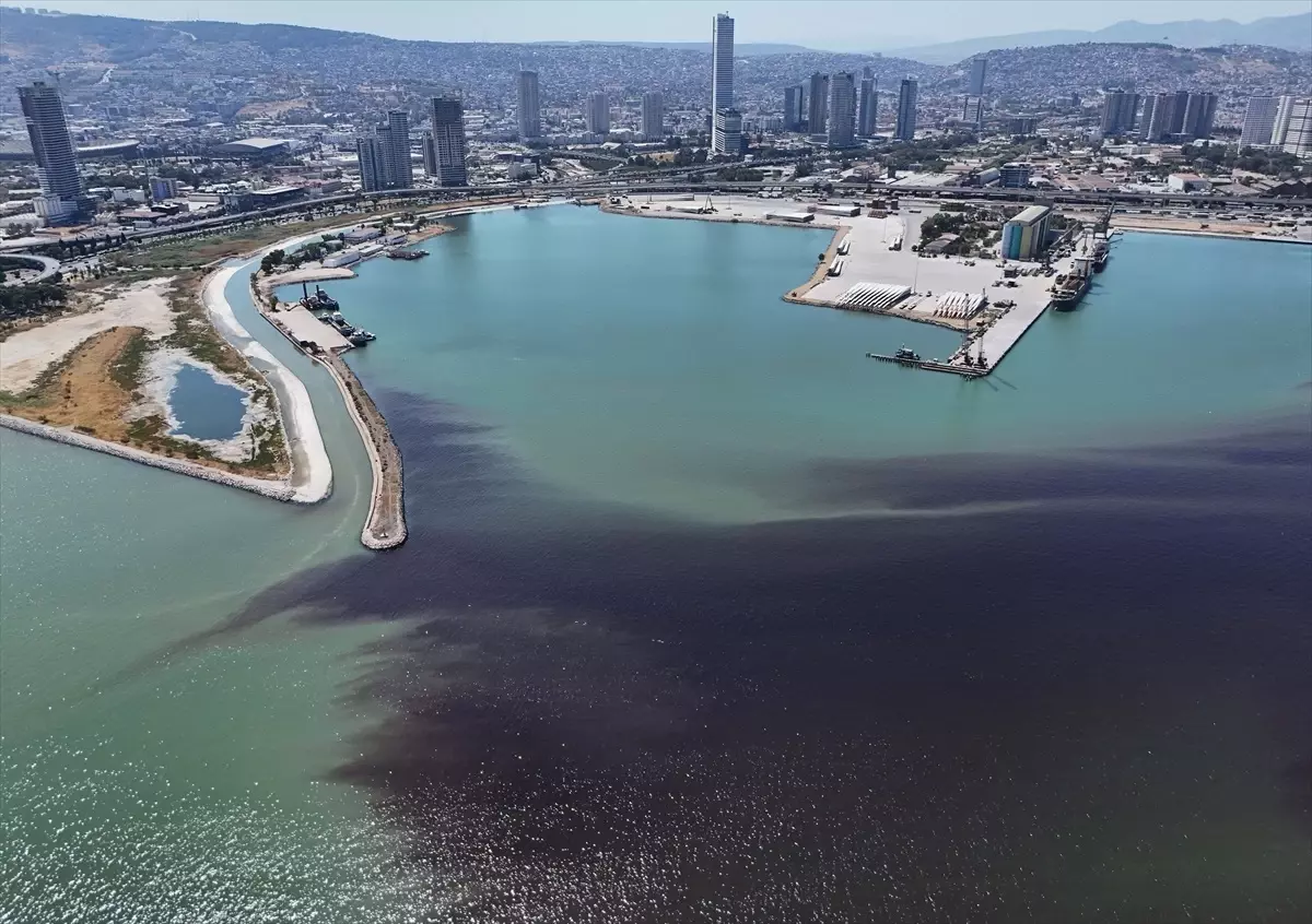 İzmir Körfezi\'nde Yeniden Balık Ölümleri