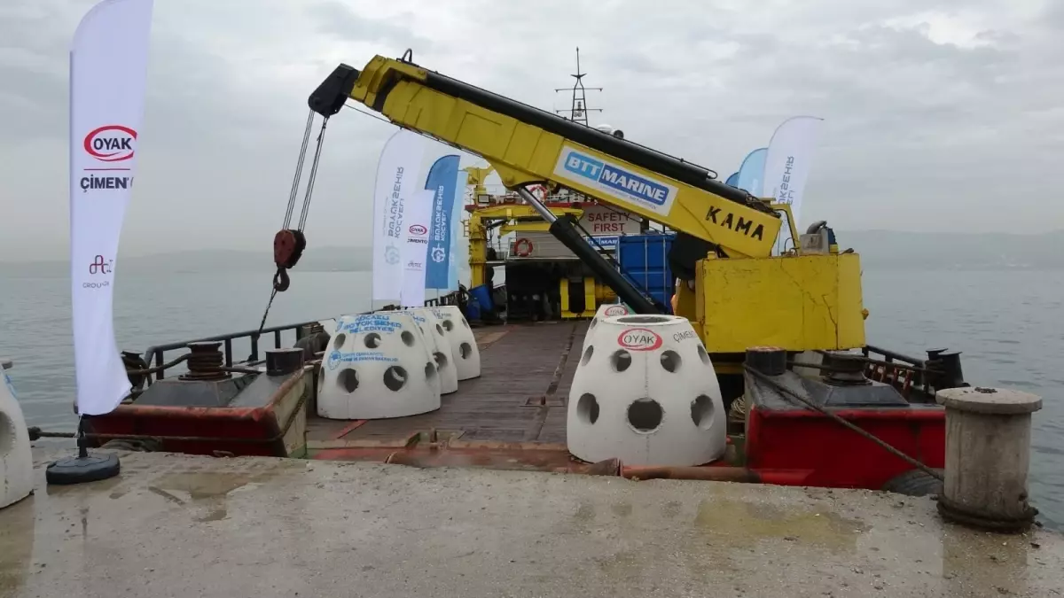 İzmit Körfezi\'nde 6 Bin Balık Salındı