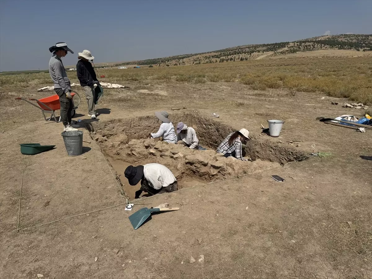 Japon Öğrenciler Üçhöyük Kazısında
