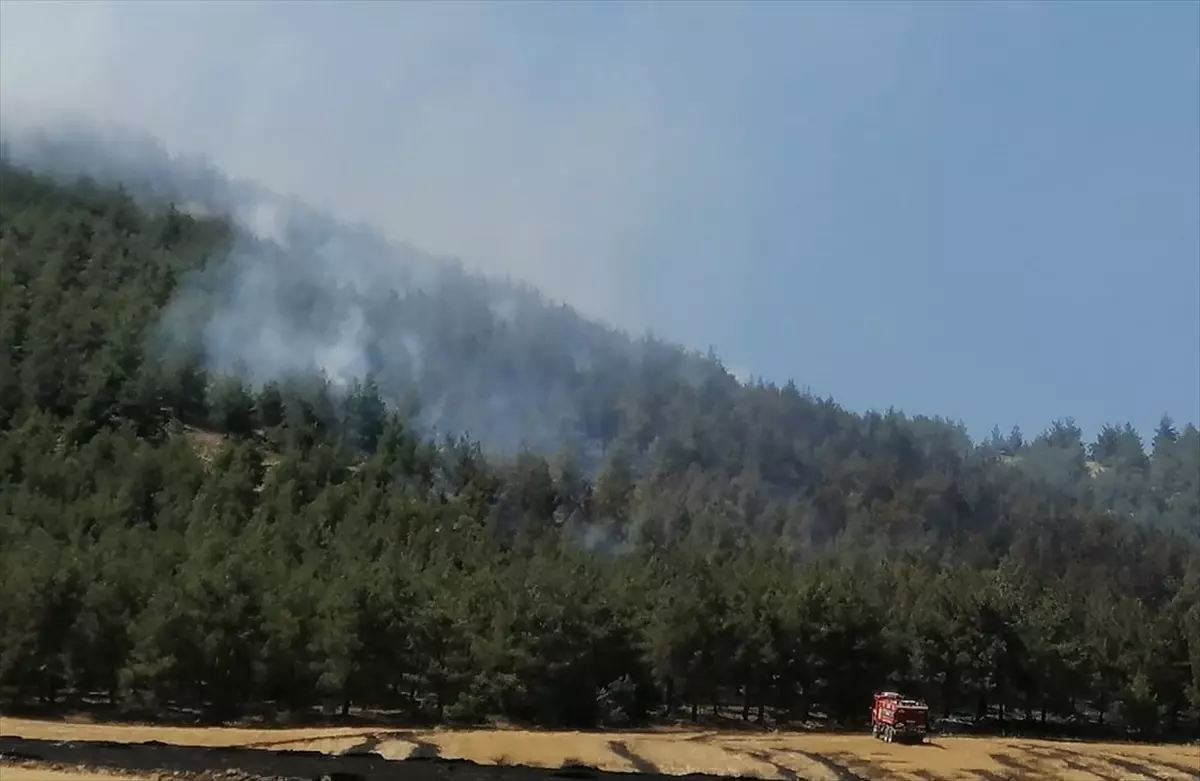 Kahramanmaraş\'ta Orman Yangını