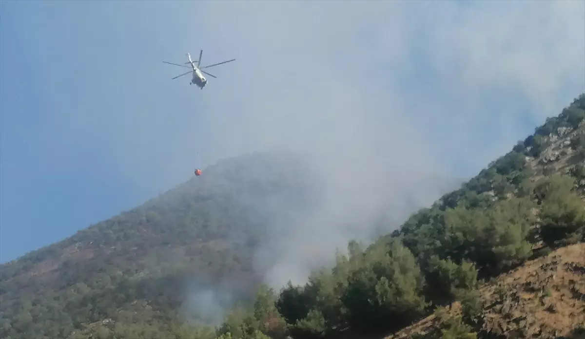 Kahramanmaraş\'ta Orman Yangınına Müdahele Devam Ediyor