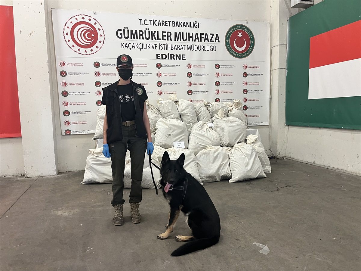 Edirne\'de 246 Kilo Esrar Ele Geçirildi