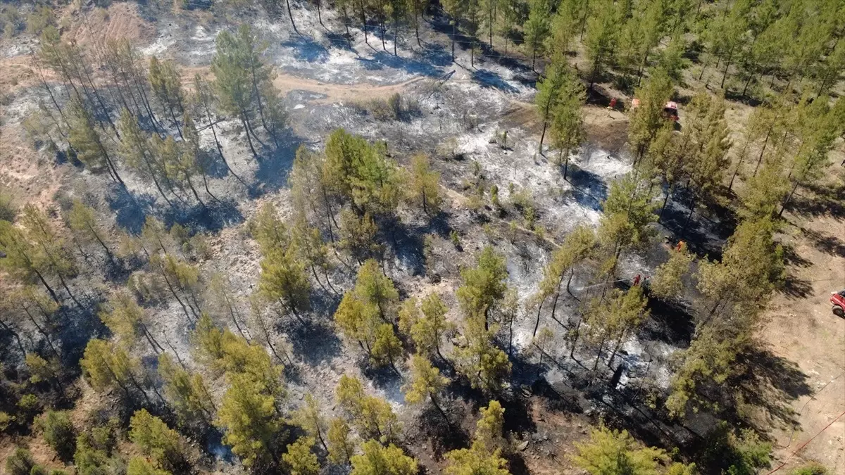 Karabük\'te Orman Yangınına Müdahale