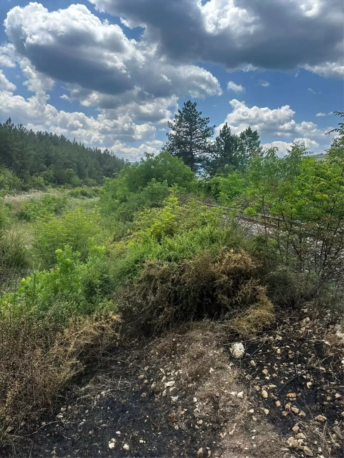 Karabük\'te Demir Yolu Kenarları Temizlendi