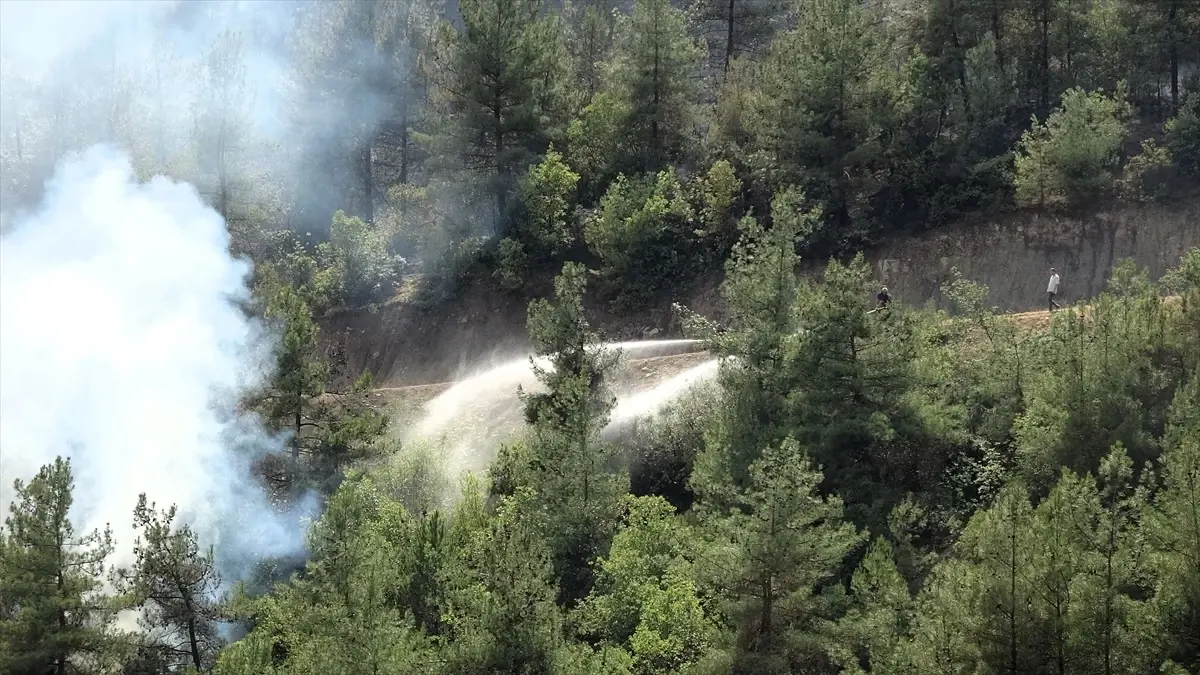 Karabük\'te ormanlık alanda yeniden yangın çıktı