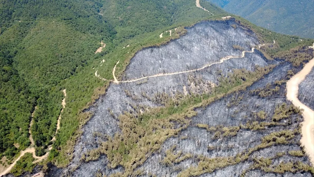 Karabük\'te Orman Yangını Kontrol Altına Alındı