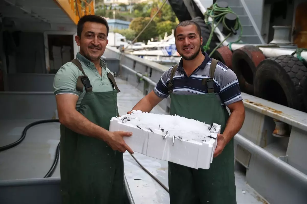 Karadeniz\'de Hamsi Bereketi