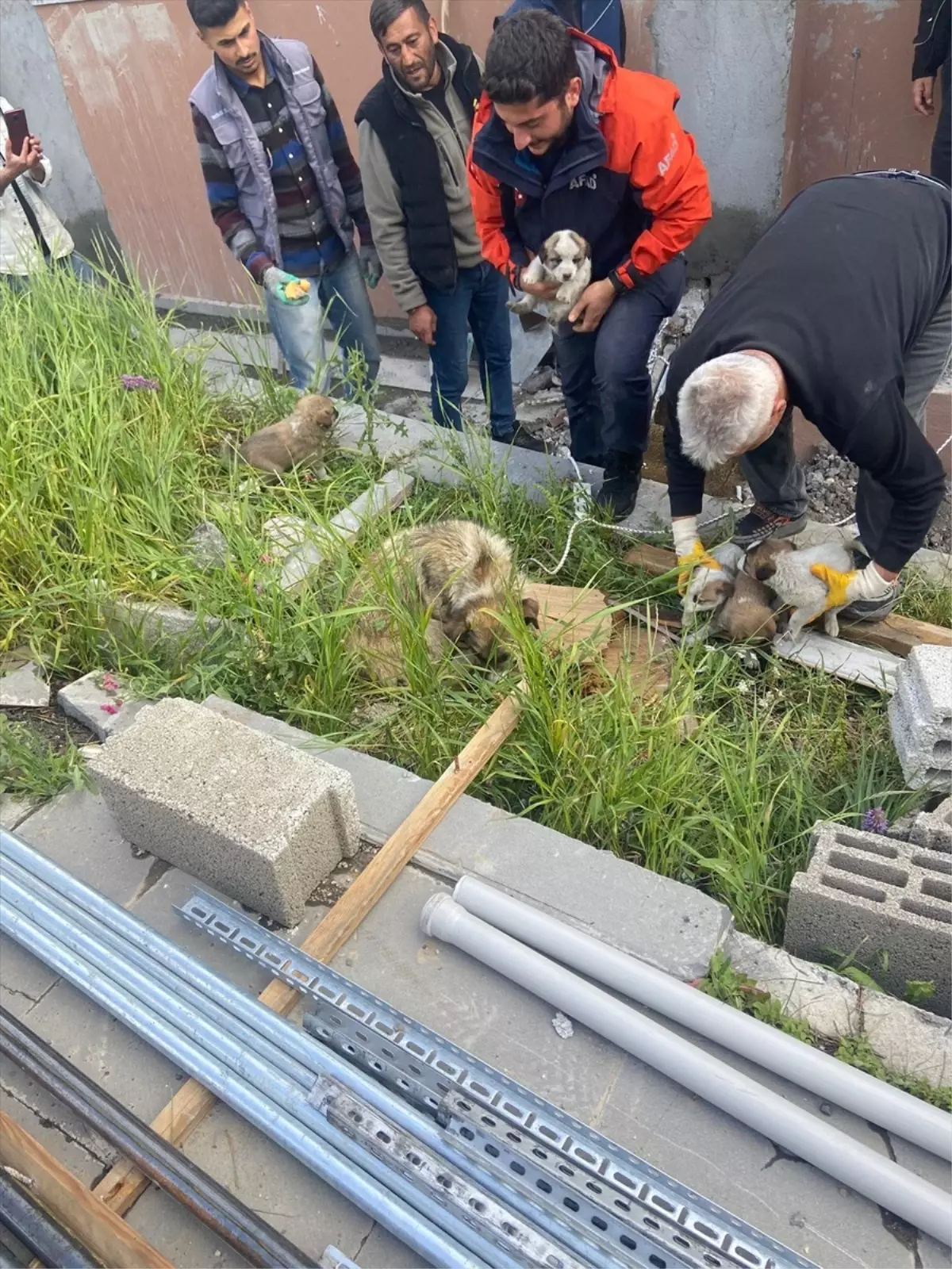 Kars\'ta Bacaya Düşen 4 Yavru Köpek Kurtarıldı