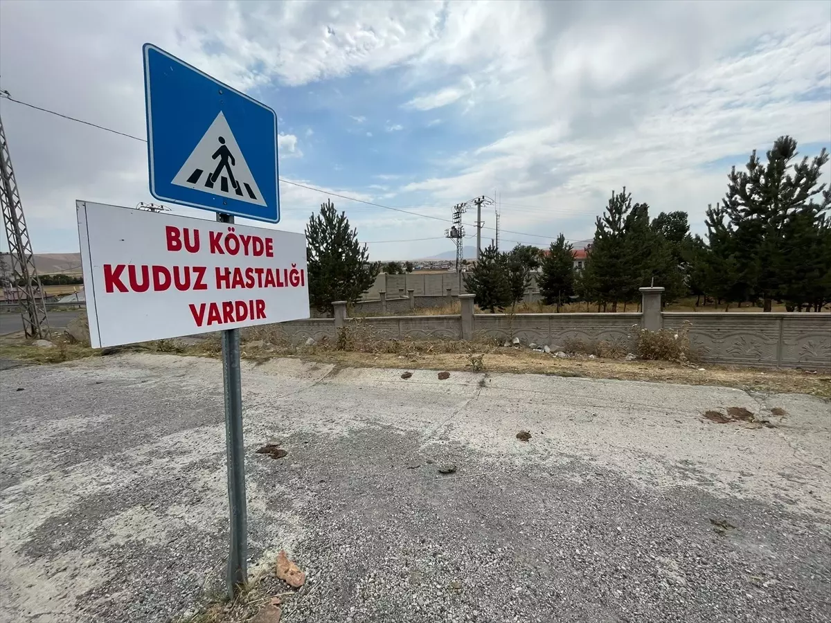 Kuduz Tehlikesi: Digor\'da Karantina Başlatıldı