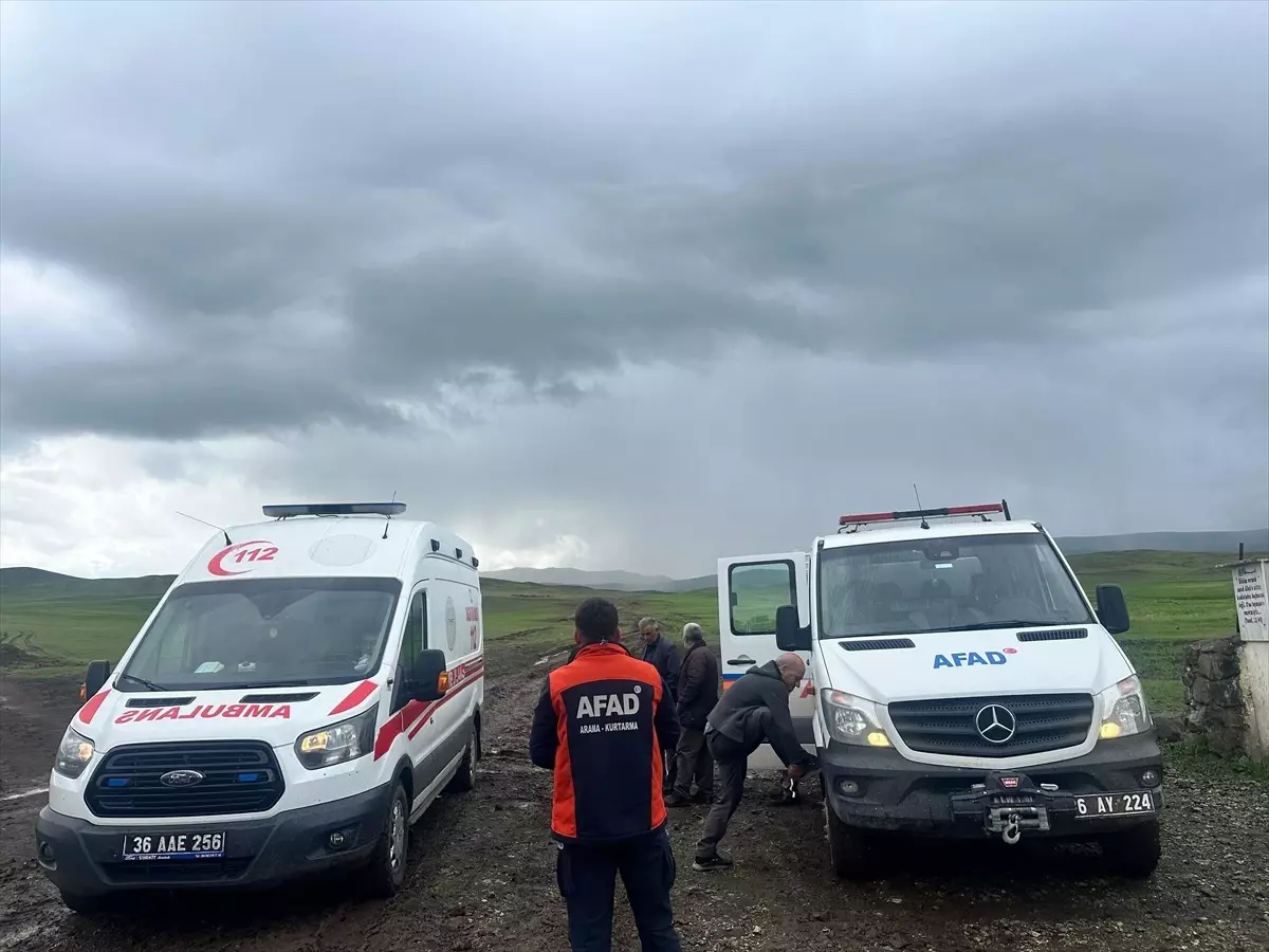 Yıldırım çobana isabet etti