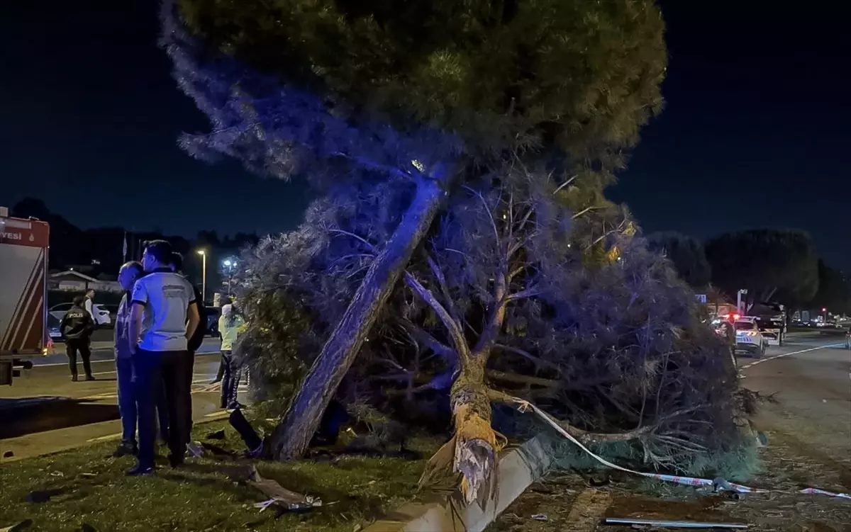 Kartal\'da Trafik Kazası: 5 Yaralı