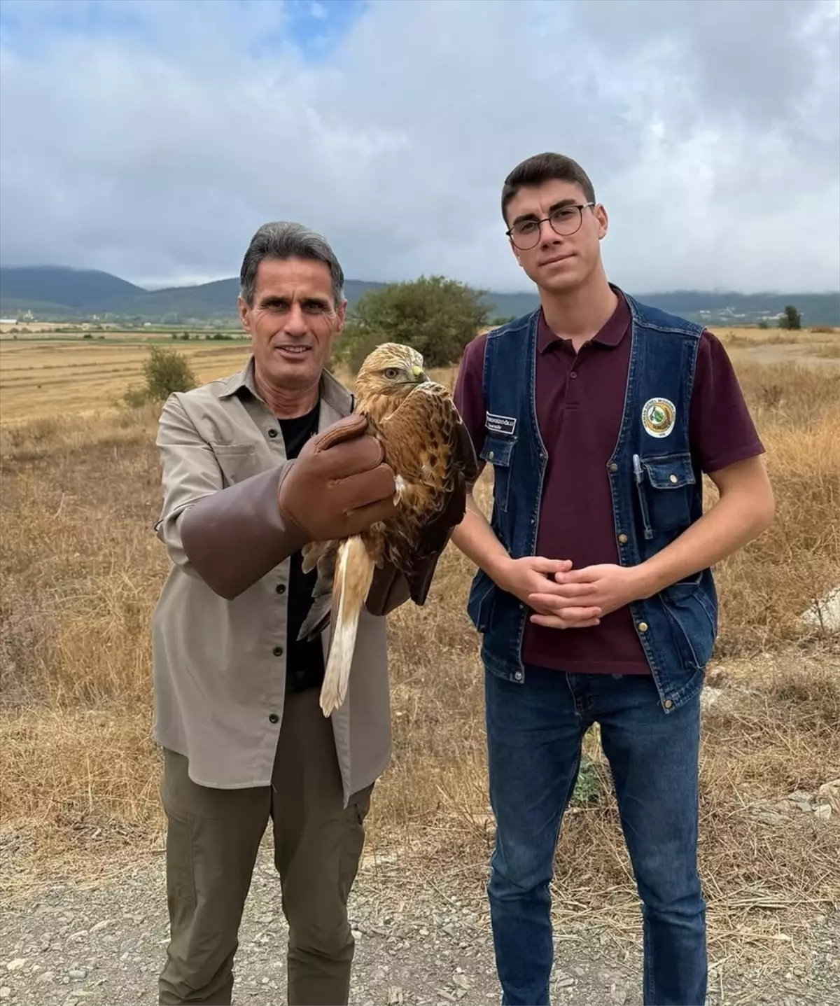 Yaralı Şahin Tedaviye Alındı