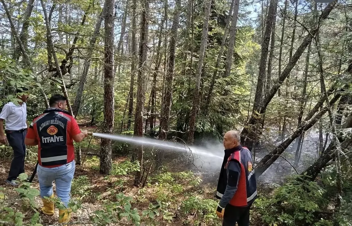 Kastamonu’da Orman Yangını Kontrol Altına Alındı