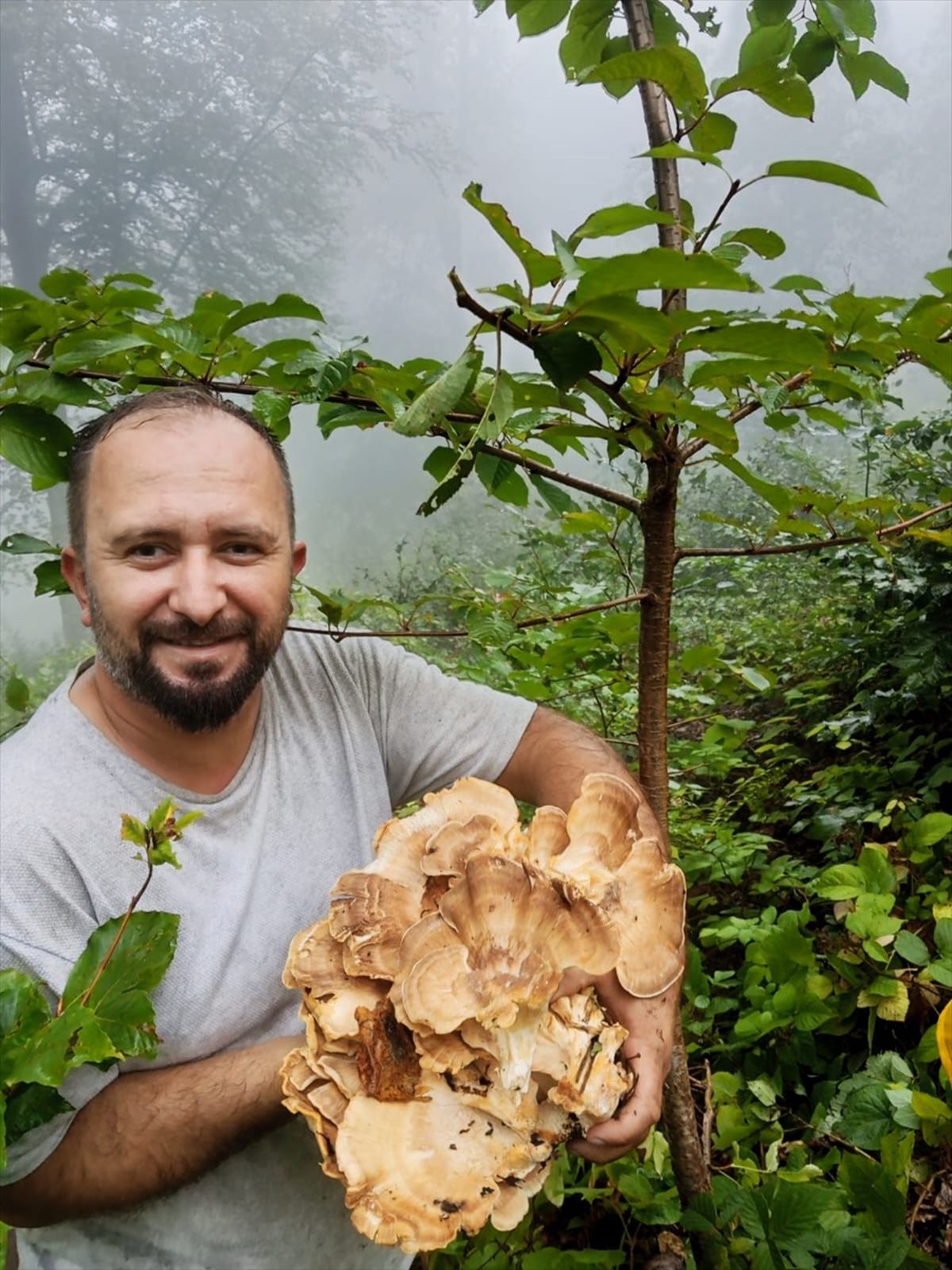 Kastamonu\'da Mantar Sezonu Başladı