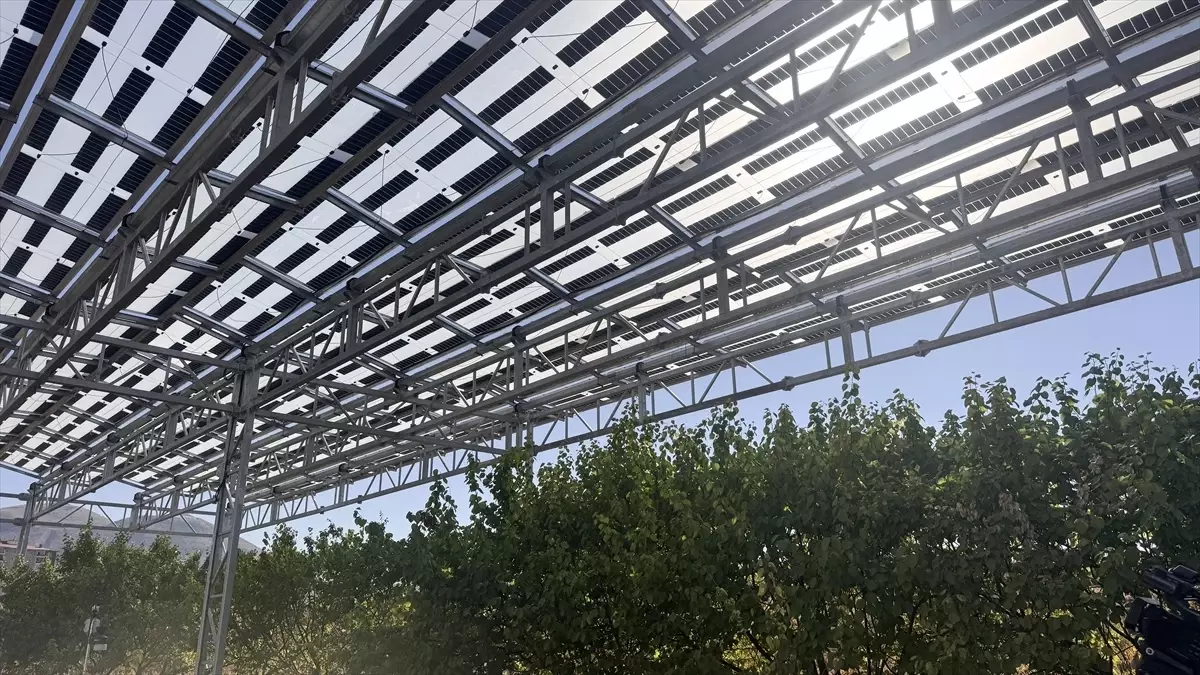 Güneş Enerjisi ile Kayısı Verimliliği Artıyor