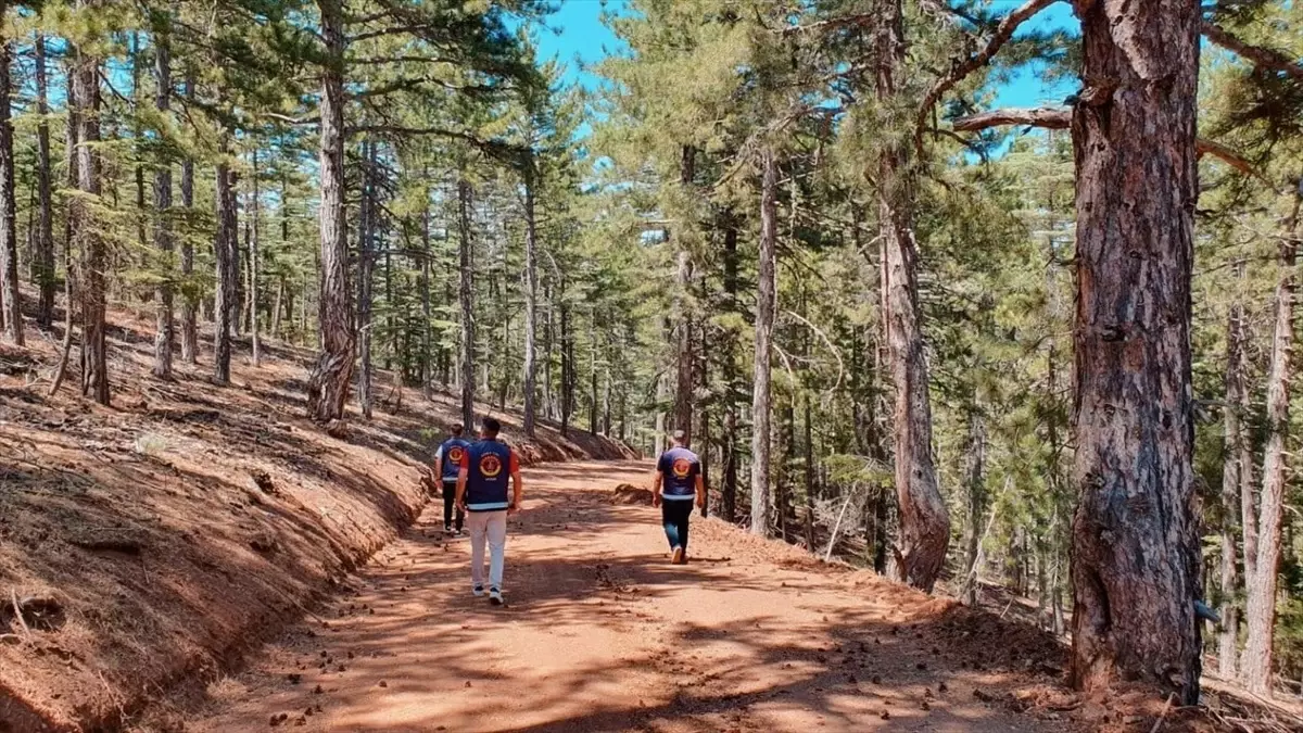 Kayseri\'de Orman Yangınlarına Karşı Denetimler