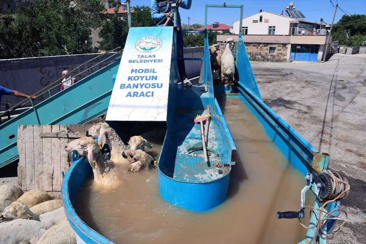 Kayseri\'de Mobil Koyun Banyosu Uygulaması