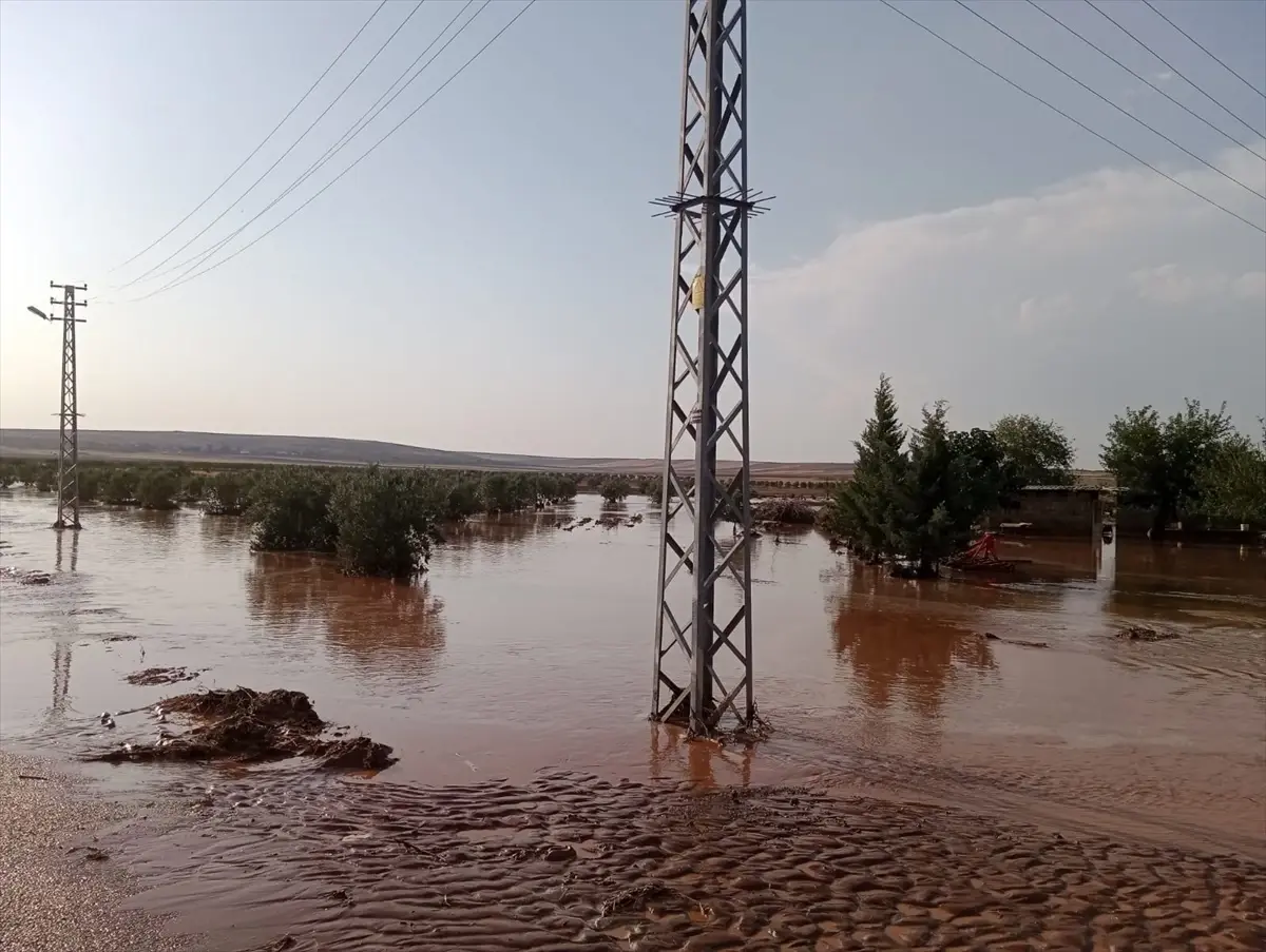 Kilis\'te Sağanak Taşkına Neden Oldu
