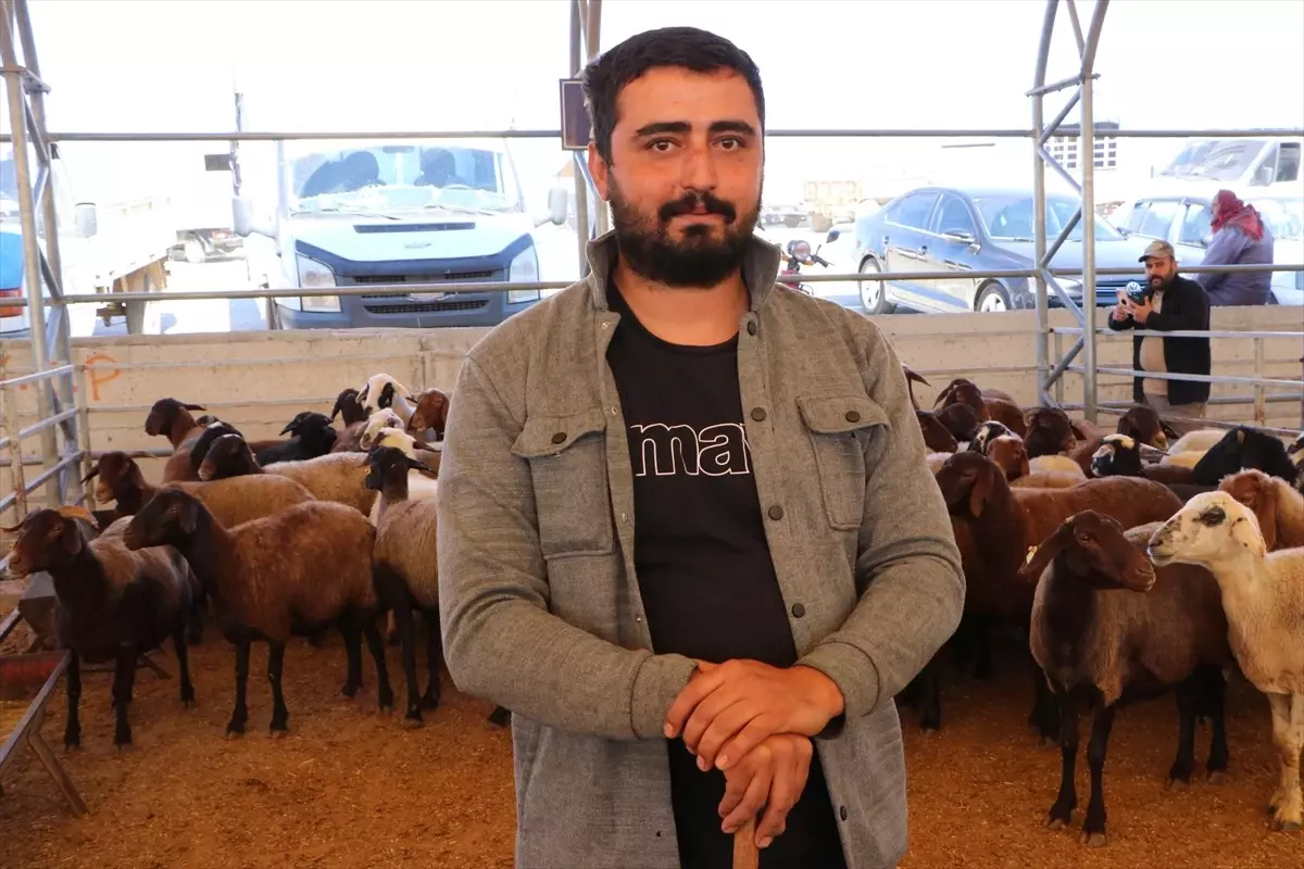 Kilis\'te Kurbanlık Hayvan Pazarı Açıldı